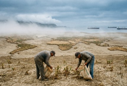 Prolonged Strait of Hormuz Closure Would Threaten Global Food Security, Warns FAO Director