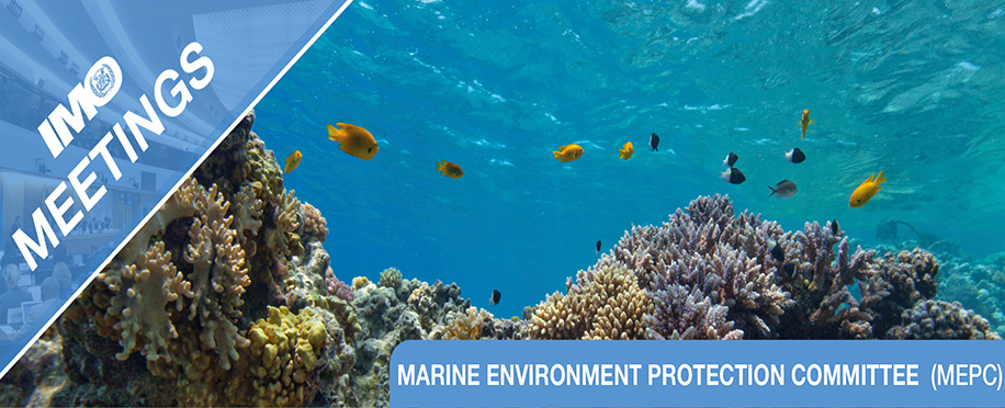 Shaping a Sustainable Future: MEPC 80 to Unveil Ambitious Measures for Reducing Shipping Emissions