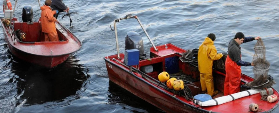 Economic Impacts of Oil Spills: Mitigation and Recovery Strategies