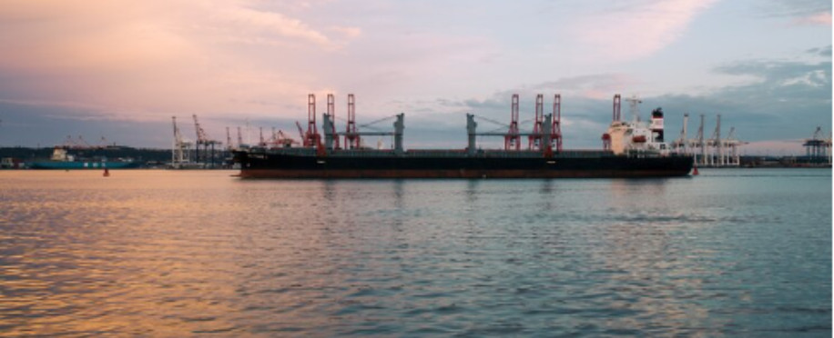 Green Dilemma: The Complexities of Adopting Ammonia as a Marine Fuel