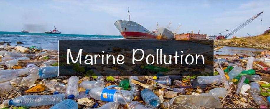 Protecting Our Blue Planet: Effective Marine Pollution Control Strategies