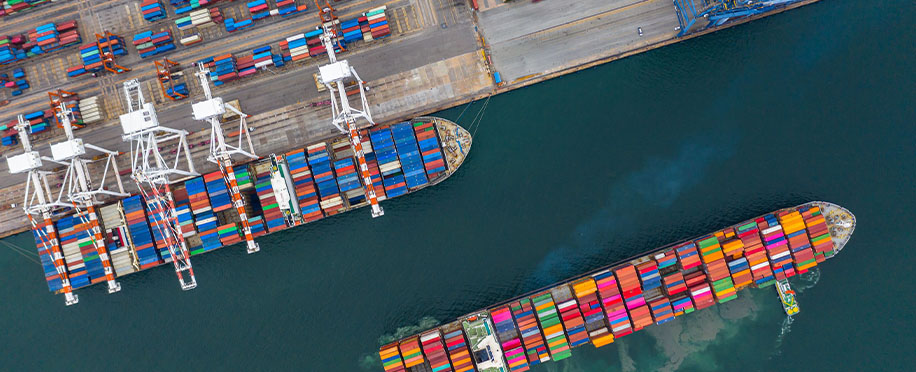 Driving Economic Growth: The Socioeconomic Impact of Ports and Terminals