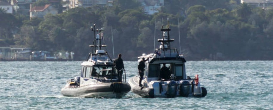 Ship Security: Preventing Piracy and Maritime Crime