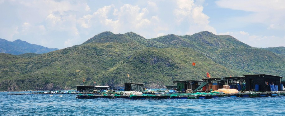 Implications of the WTO's Agreement to Reduce Fishery Subsidies