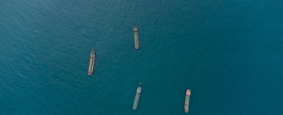 Tokei Kaiun's Bulk Carrier Becomes The First Certified Hydroponic Vegetable Grower at Sea