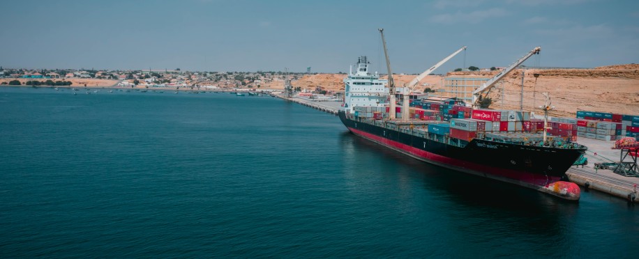 The Potential Effects of Trump’s New Tariffs on the Global Shipping Industry