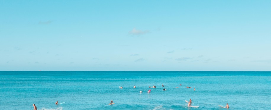 Launch of a Collaborative Research Project to Find Therapeutic Resources in Marine Organisms